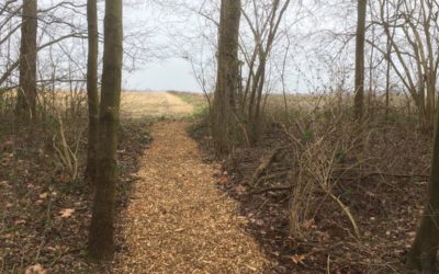 DSM realiseert nieuw bospad Bergerweg richting Graetheide